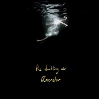 The Darkling Air